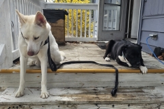 Hangin on the Porch