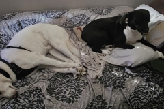 Sharing is Caring- Calm and peaceful