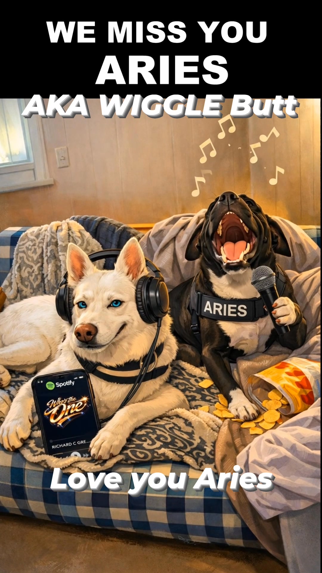 𝐏𝐢𝐬𝐜𝐞𝐬 𝐌𝐞𝐝𝐢𝐚