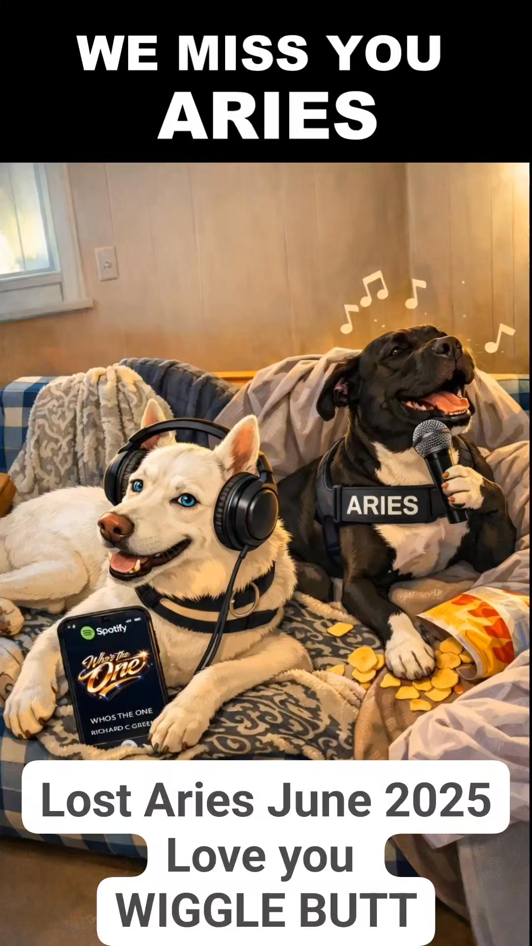 𝐏𝐢𝐬𝐜𝐞𝐬 𝐌𝐞𝐝𝐢𝐚