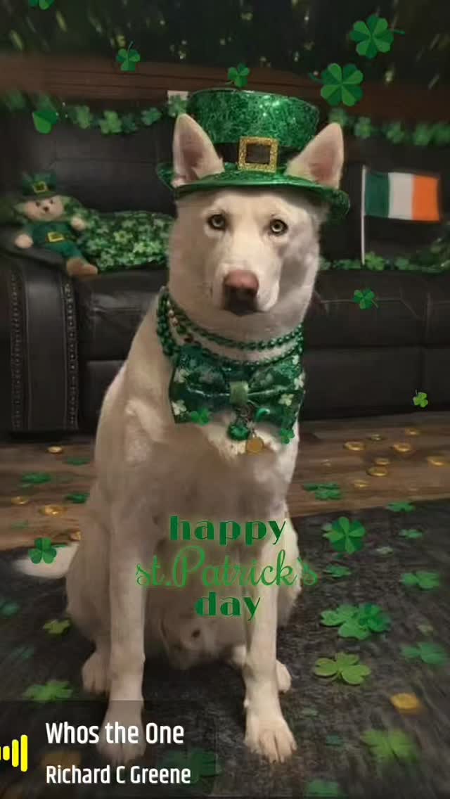 𝐏𝐢𝐬𝐜𝐞𝐬 𝐌𝐞𝐝𝐢𝐚